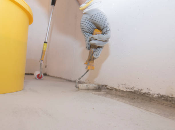 Best Pest Exclusion Services  in La Luz, NM